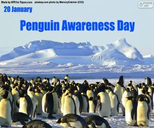 пазл День осведомленности пингвинов